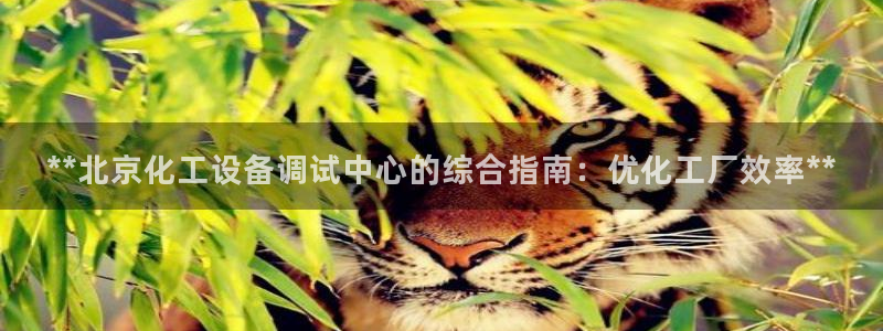 新宝gg创造奇迹手机登录