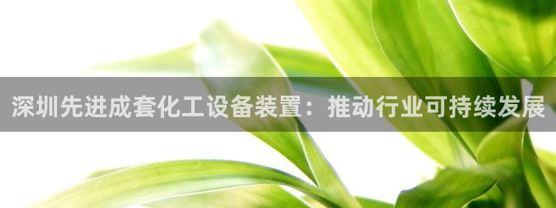 新宝GG平台负责人