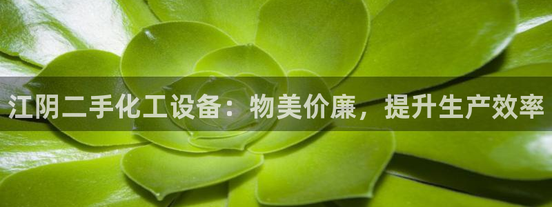 新宝gg注册平台