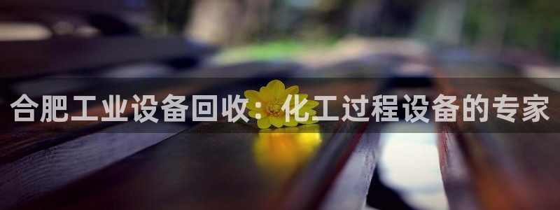 新宝gg官网最新版本更新内容介绍