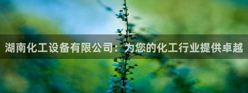 新宝gg注册登录账号