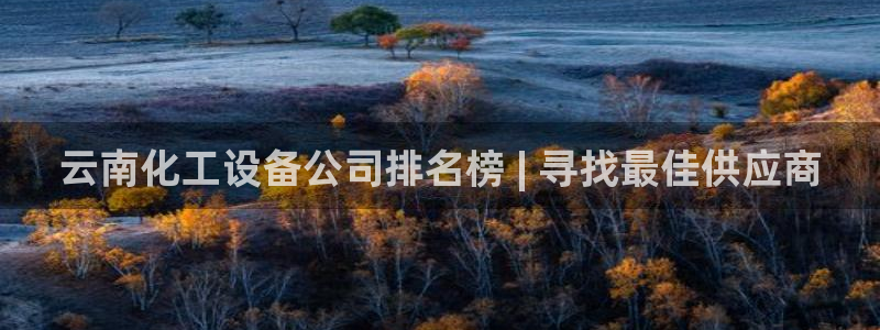 新宝gg一键登录