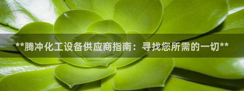 新宝GG平台登录注册