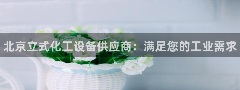 新宝gg游戏平台客服
