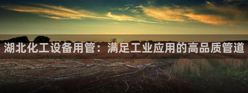 新宝gg售后人工客服电话