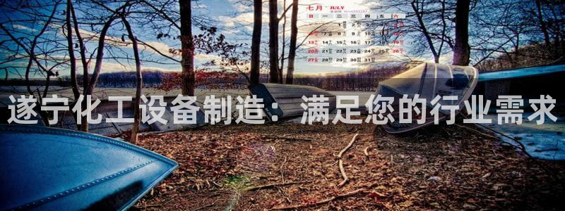 新宝gg登录测速中心
