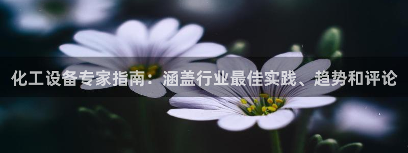 新宝GG创造奇迹