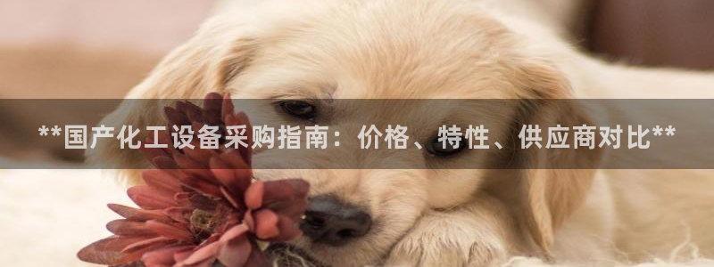 新宝GG创造奇迹客服怎么联系