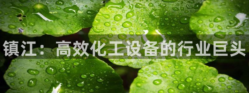 新宝gg一注册