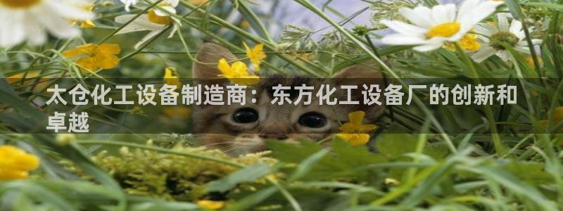 新宝gg游戏首页