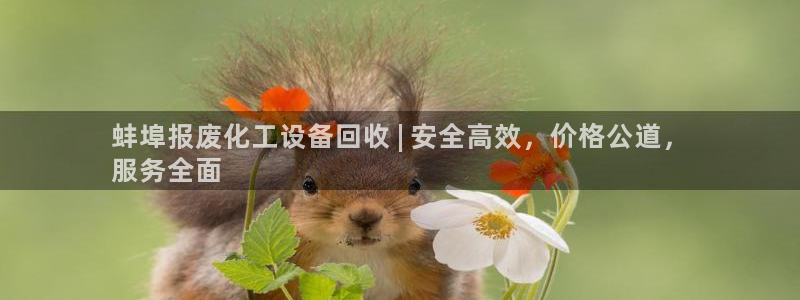 新宝gg注册