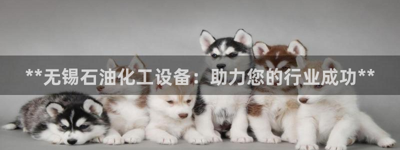 新宝gg最简单登录方法