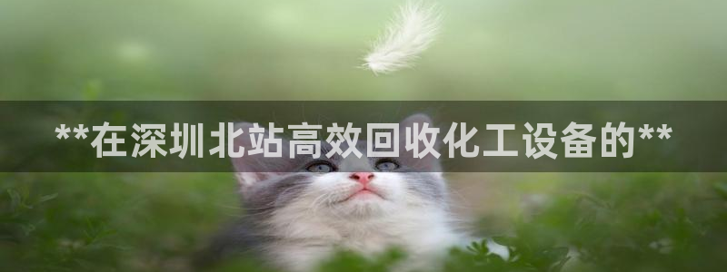 新宝gg登录不上去了了