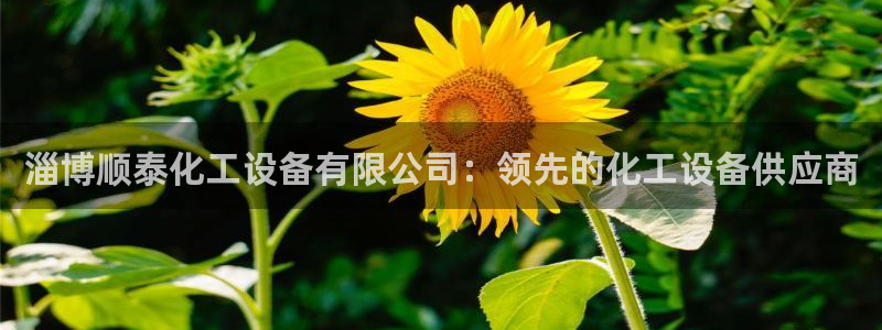 新宝gg创造奇迹官网