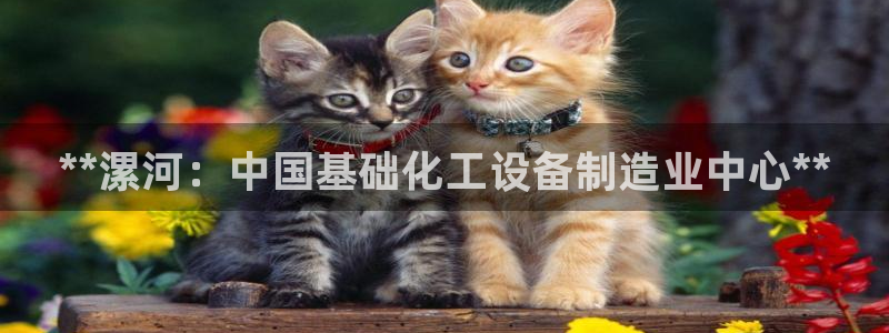 新宝gg__创造奇迹登录