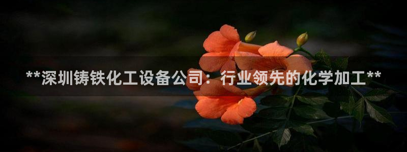新宝gg创造奇迹平台