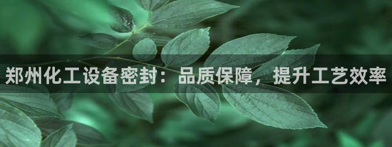 新宝gg创造奇迹官方登录注册入口