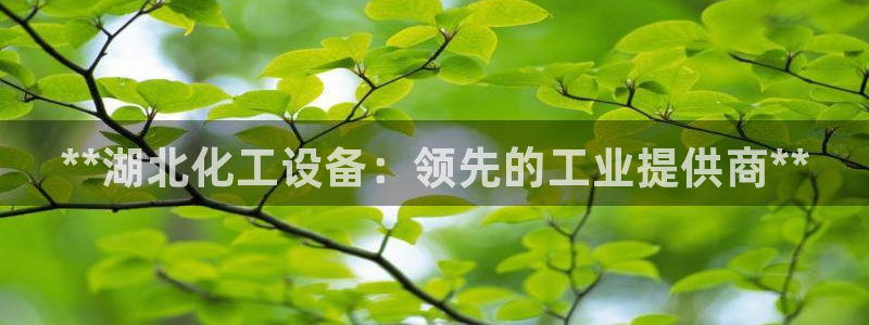 新宝gg平台登录手机版