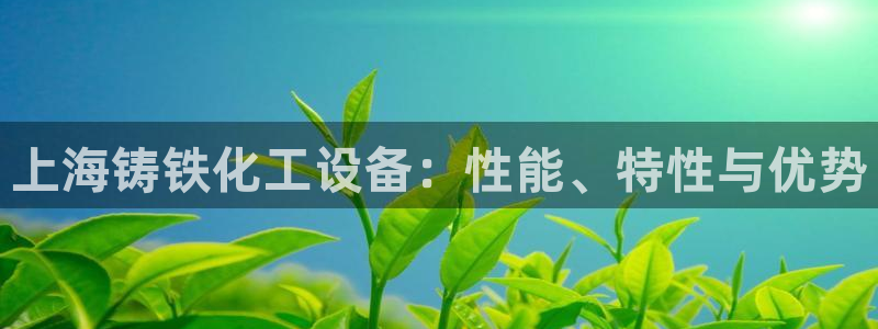 新宝gg一创造奇迹登陆
