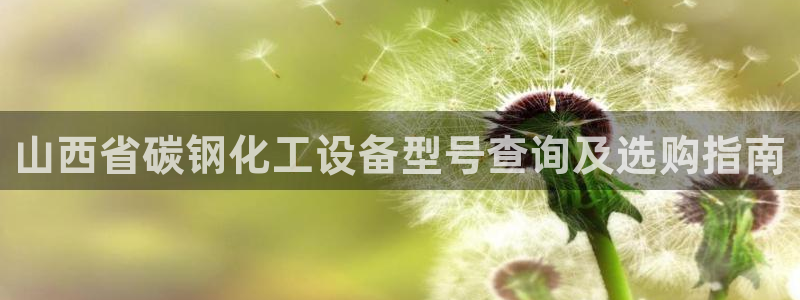 新宝gg怎么登录不了