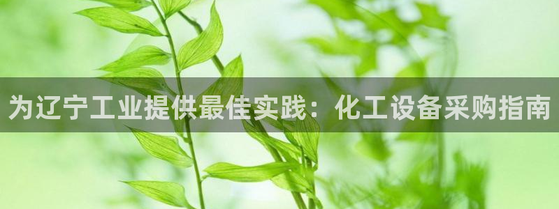 新宝GG平台德711.112如何处理