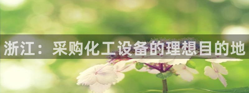 新宝gg手机版登录官网