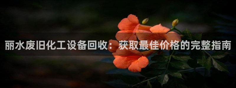 新宝gg真的能赚钱么