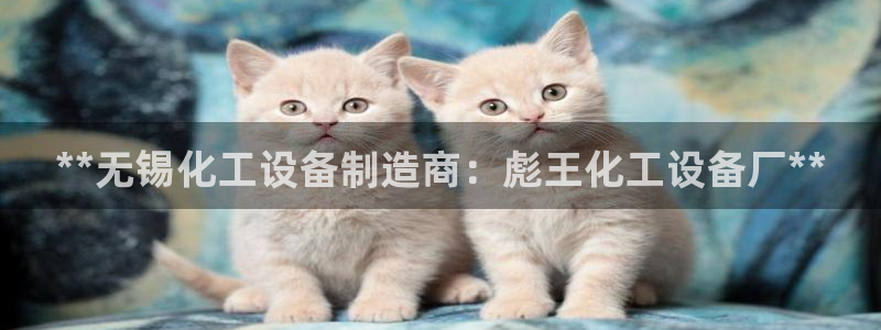 新宝gg官网客户端下载