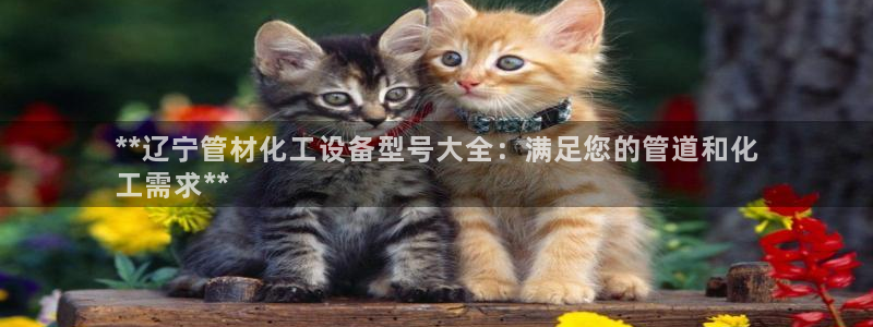 新宝测速gg