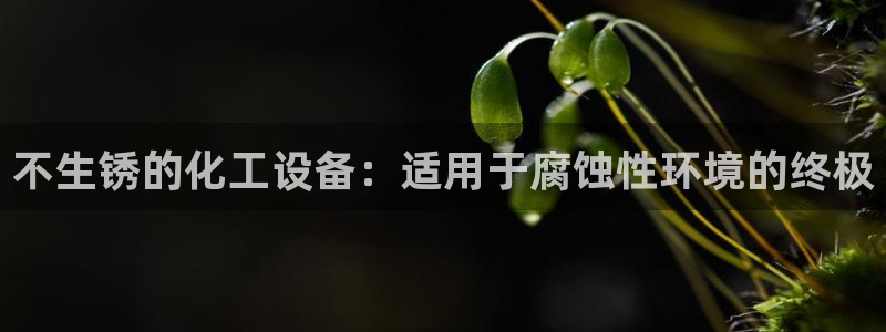 新宝gg创造奇迹官方登录注册入口：不生锈的化工设备