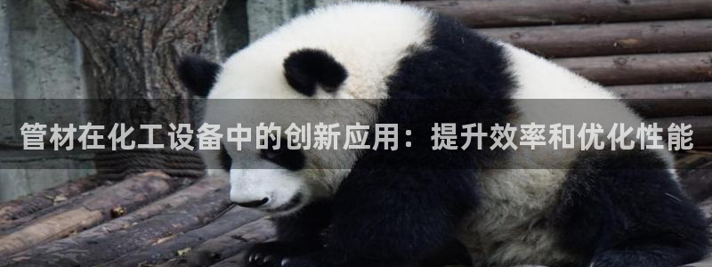 新宝gg平台登录手机版