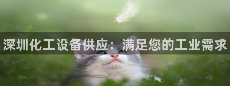 新宝GG平台招商