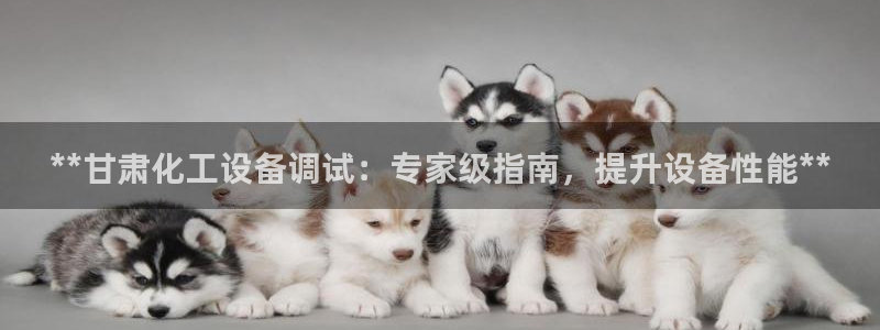 新宝一gg测速：**甘肃化工设备调试：专家级指南，