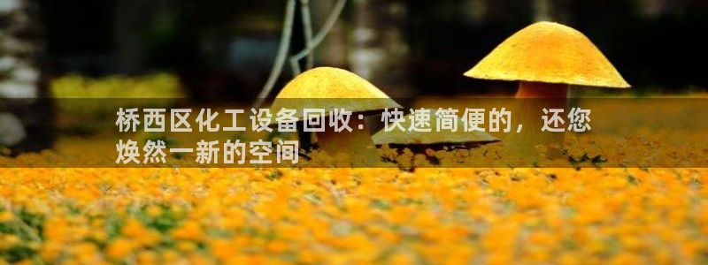 新宝gg平台注册?：桥西区化工设备回收：快速简便的