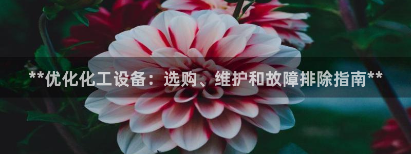 新宝gg怎么登录不了