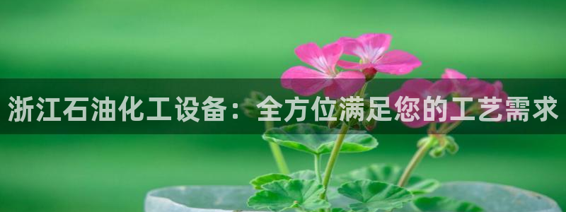 新宝gg注册平台
