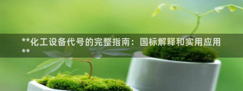 新宝gg创造奇代理加盟：**化工设备代号的完整指南：国标解释