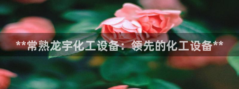 新宝gg怎么登录不了了