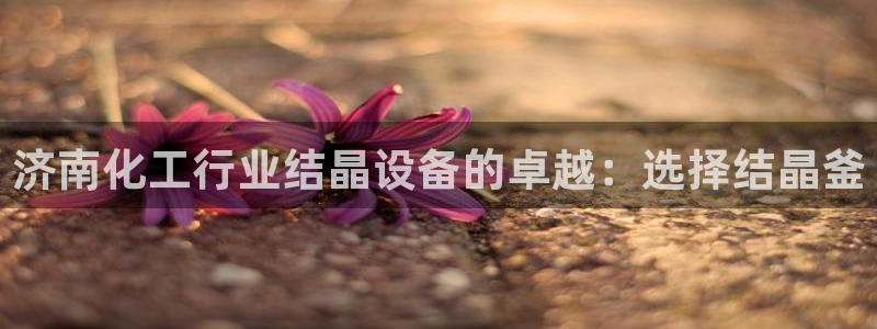 新宝gg—创造奇迹官网