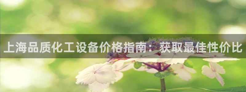 新宝gg平台是否合法：上海品质化工设备价格指南：获