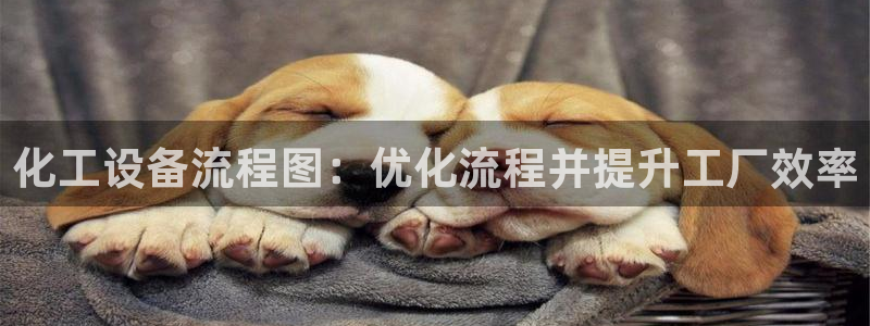 新宝一gg测速：化工设备流程图：优化流程并提升工厂