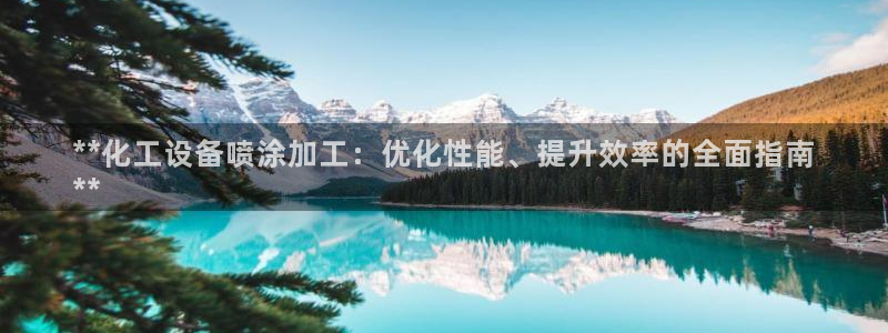 新宝gg创造奇迹代理：**化工设备喷涂加工：优化性