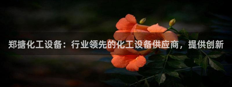 新宝gg创造奇迹登录入口网址：郑搪化工设备：行业领