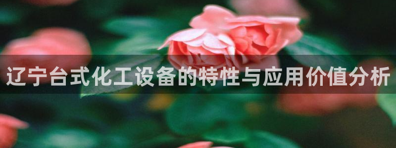 新宝gg真的能赚钱么：辽宁台式化工设备的特性与应用