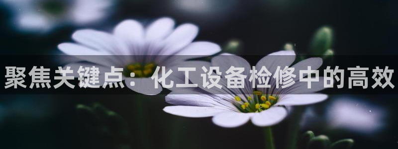 新宝GG平台负责人