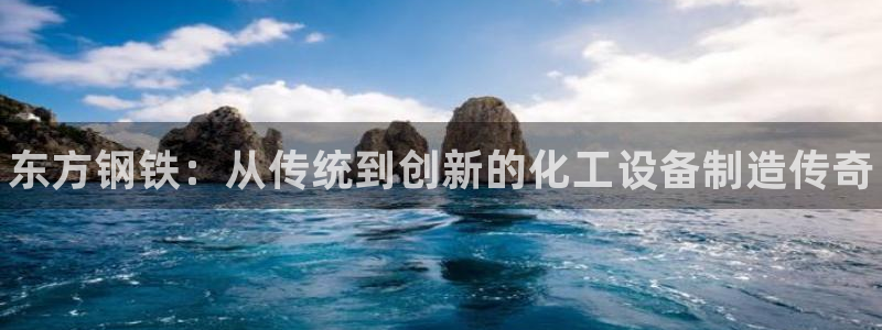 新宝gg注册网址：东方钢铁：从传统到创新的化工设备