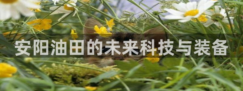 新宝gg登录了还能上吗：安阳油田的未来科技与装备