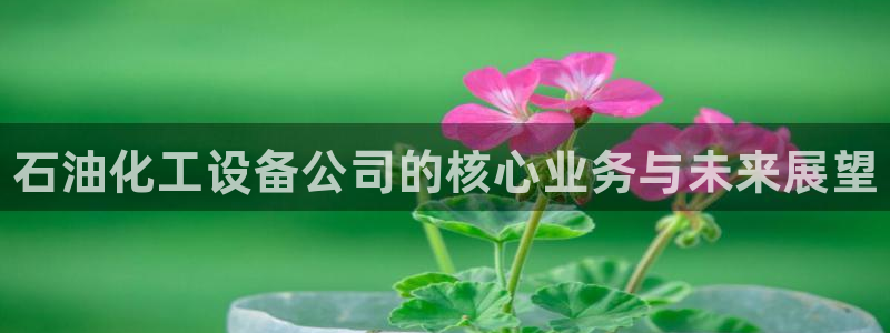 新宝gg真的能赚钱么：石油化工设备公司的核心业务与未来展望