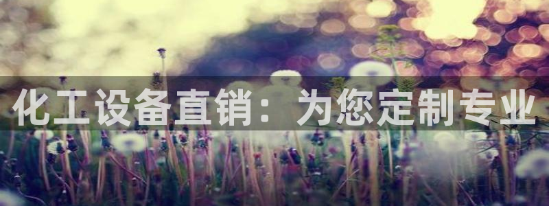 新宝gg创造奇迹登录入口：化工设备直销：为您定制专