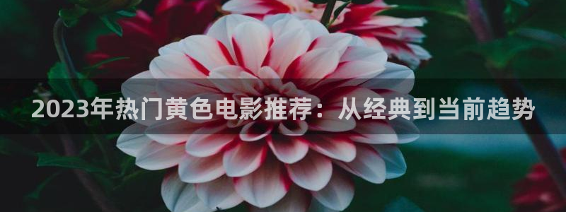 亚洲依依成人影院精品：2023年热门黄色电影推荐：从经典到当前趋势